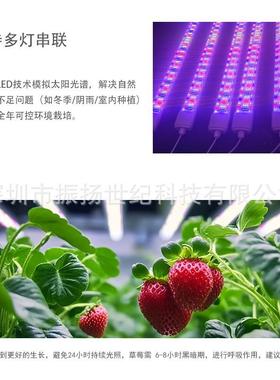 蔬菜棚多肉上色阳灯草台IOA莓番茄育苗大红蓝光花卉全光谱植物补