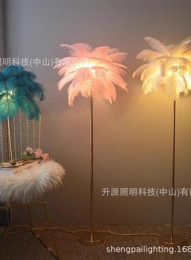 源头厂鸵毛婚庆引路LC-276工灯客厅沙鸟发茶毛几卧室立式护眼羽落