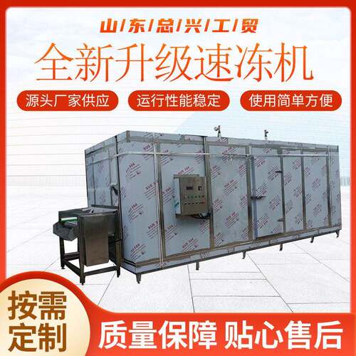 全自动刀鱼隧道式速冻机 预制菜不锈钢速冻设备 玉米全自动速冻机