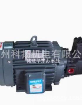 台湾Walton变量叶片泵 液压泵 VP-20-FA3 油泵Walton电机组0.75KW