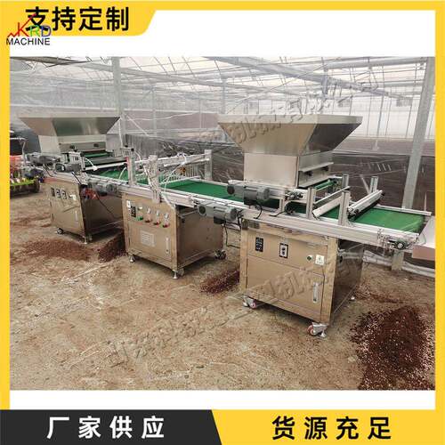 铺土压穴播种一体机 农业用种子种植设备 全自动穴盘育苗播种机