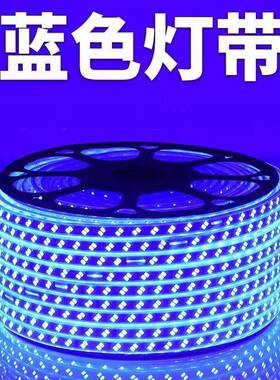 20超v亮573白富美0双排养工程家用商用户外绿化殖防水软灯带条2le