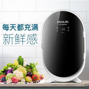 102522舍0迷L车载小冰箱你学小型家用寝室宿租房车家两用生单人