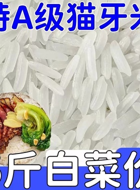 【新客立减】正宗猫牙米当季新米长粒香长寿乡晚稻长粒大米丝苗米