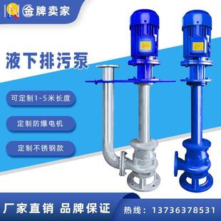 长轴液下提升泵定制 YW液下排污泵不锈钢防爆耐腐蚀液下污水泵立式