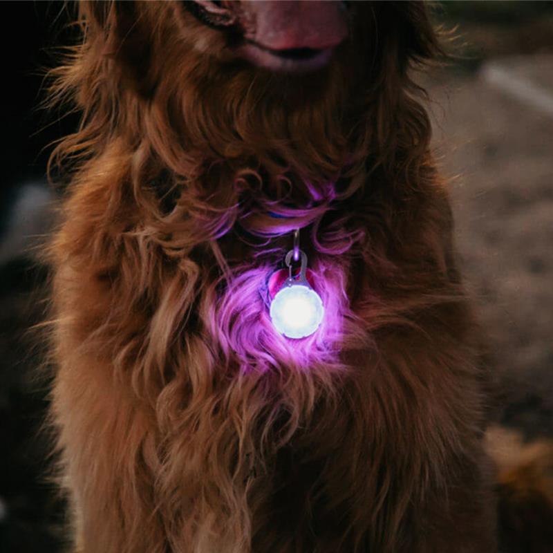 美国奈爱Niteize宠物LED安全灯夜间遛狗灯防车祸走失项圈发光吊坠