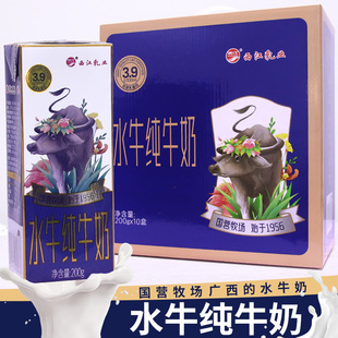 10盒装 农垦水牛奶西江乳业 水牛食研室水牛纯牛奶3.9g乳蛋白200g