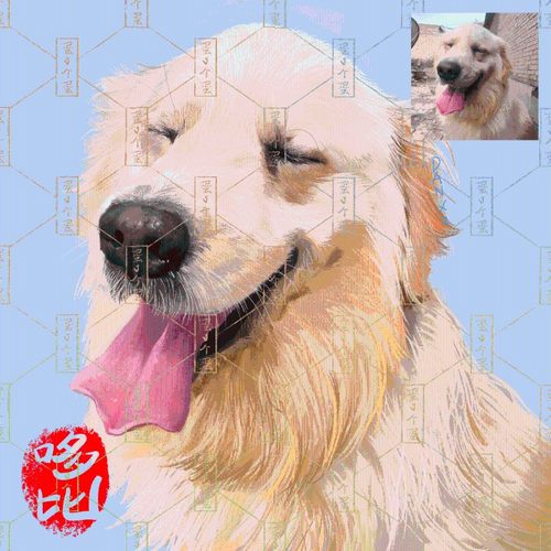 宠物头像定制猫狗头像写实手绘照片贴纸转手绘动物肖像挂画装饰画
