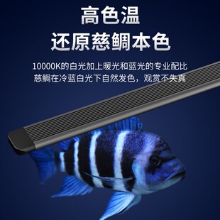 三湖慈鲷灯日出日落慈鲷蓝白灯鱼缸led灯防水水族灯慈鲷专用灯