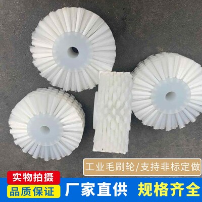 工业毛刷辊 毛刷轮清洗防尘尼龙滚筒马毛 猪毛圆形毛刷轮定制毛刷