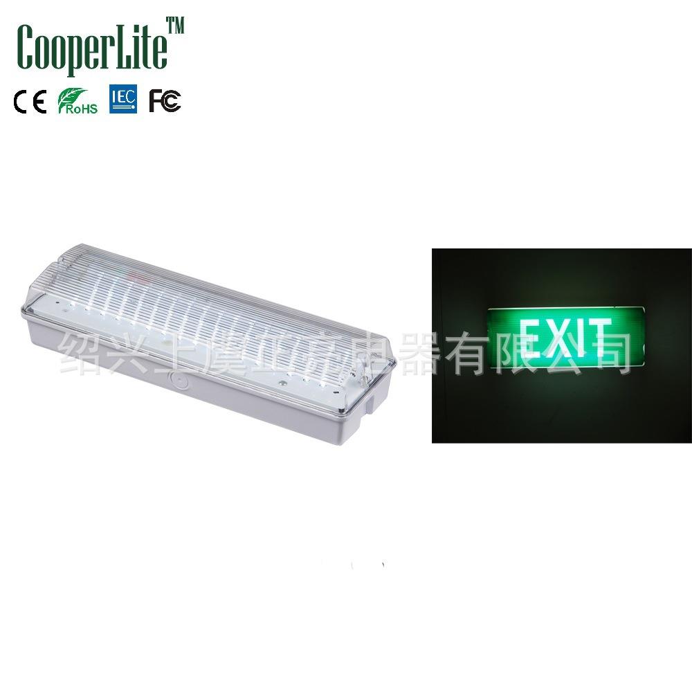 亮灯工厂1ZL-6063*8W2D*8W管式/贴片正式LE长方形嵌入式安装应急