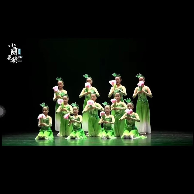 儿童茉莉花开古典舞演出服女童秧歌服飘逸扇子伞舞民族舞蹈服新款