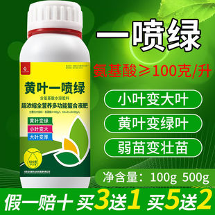 黄叶一喷绿氨基酸叶面肥喷施微量元素水溶肥蔬菜花卉植物绿叶素