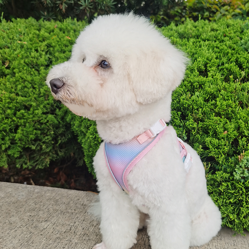 背心式宠物胸抱婴袋猫咪牵引绳遛猫神器小型犬可调节胸背狗狗牵引