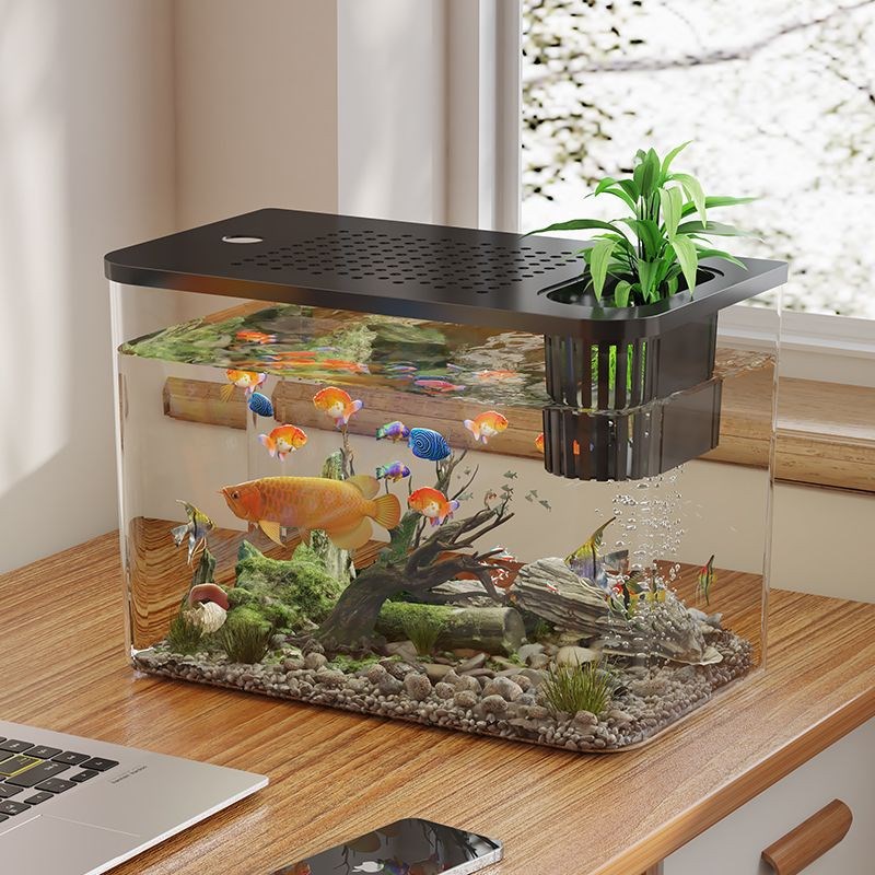 鱼缸水族箱塑料带盖生态缸金鱼缸家用客厅透明小型茶桌桌面造景缸