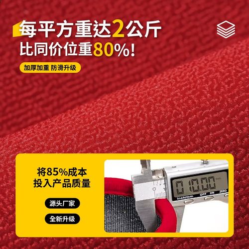 红色乔迁入户门专用地垫家用玄关高级感进门地毯吸水防滑耐脏脚垫