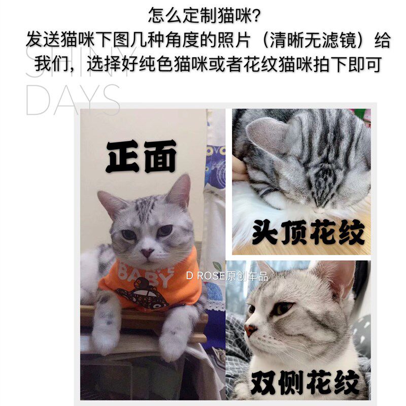 英短美短布偶猫咪可爱宠物定制香薰车载室内宠物纪念手办摆件礼物
