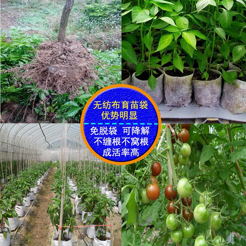 无纺布育苗袋营养袋加厚种植袋白色营养钵一次性花盆可降解育苗杯