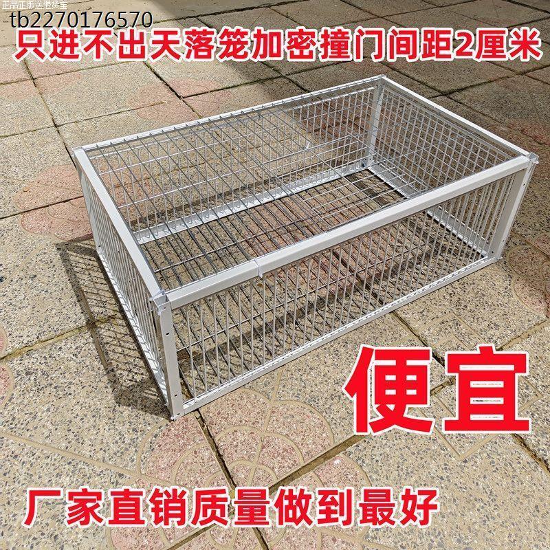 野外自动捕鸡神器加密鸽子