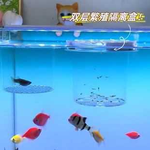 鱼缸隔离盒孔雀鱼繁殖盒小型鱼卵鱼苗产房悬浮孵化盒斑马鱼斗鱼缸