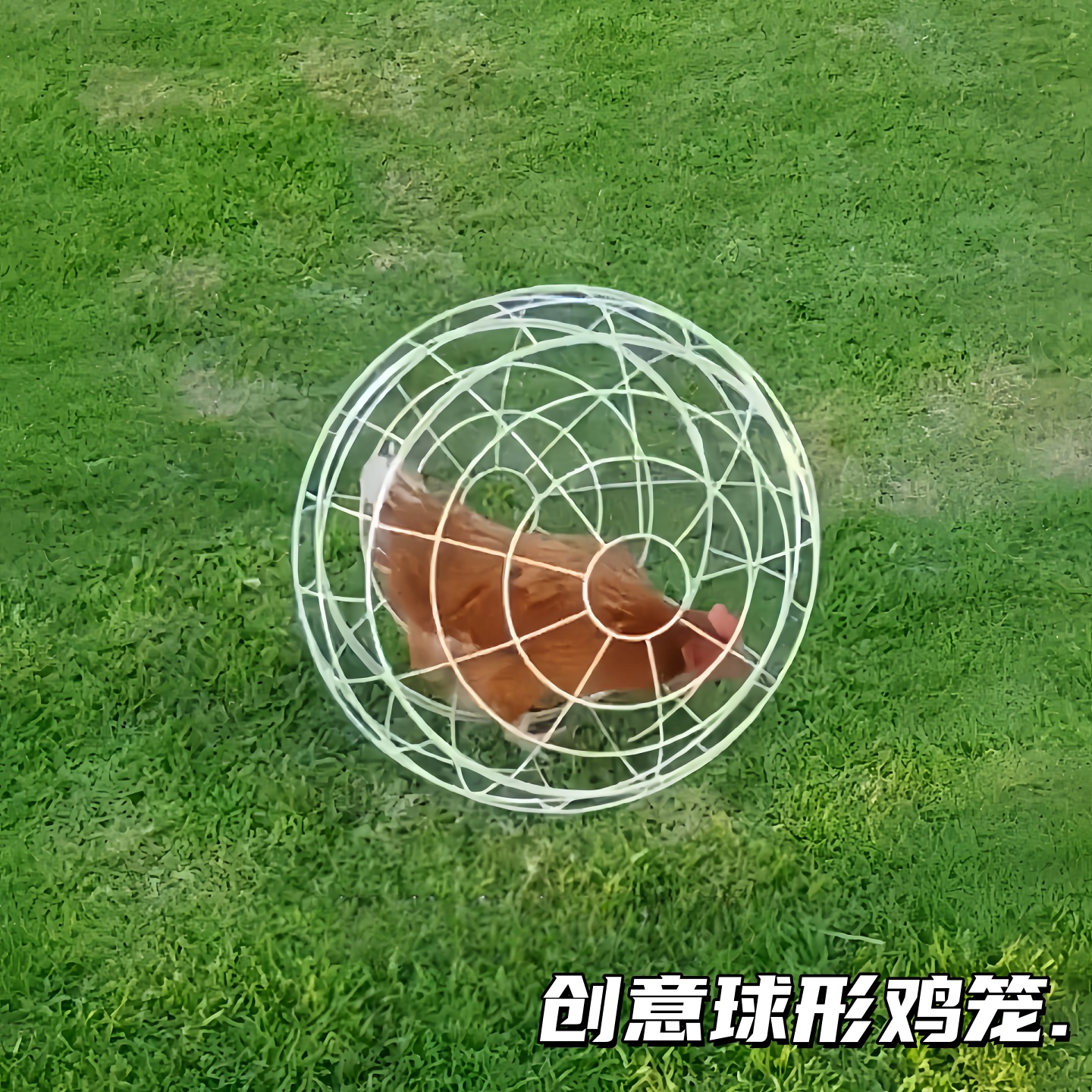 新型走地鸡笼子家用室外大号可滚动圆形散养小鸡专用笼子球形兔笼