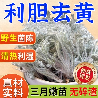 【1杯护好肝！】特级绵茵陈茶