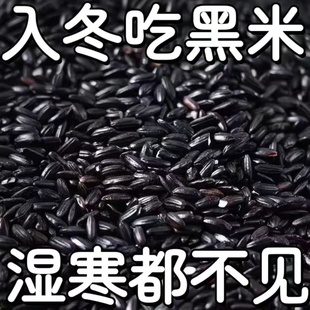 农科院东北有机黑米新米官方旗舰店孕妇低脂五谷杂粮真空农家粗粮