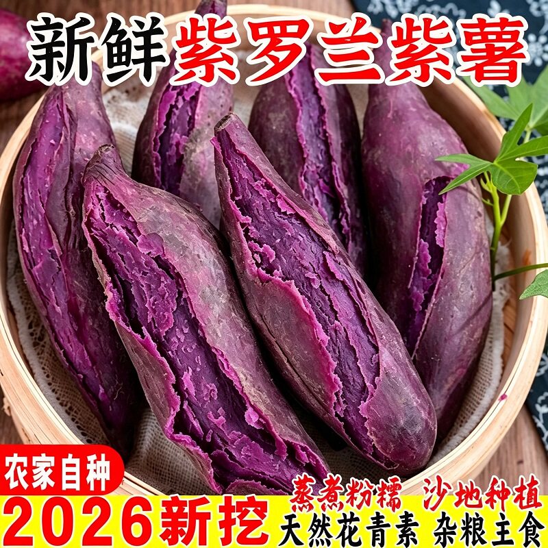 紫薯红薯当季新鲜蔬菜现挖蜜薯粉糯香甜农家自种沙地紫罗兰紫心薯