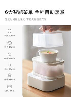 新款直销煮蛋器蒸蛋器家用多功能小型迷你双层早餐机煮鸡蛋神器宿