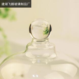 直销新款烟熏罩永生花防尘罩玻璃展示罩蛋糕罩微景观罩带底座立体