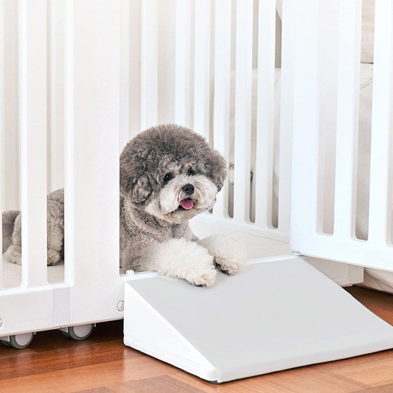 蘑菇宠物楼梯台阶狗狗梯子坡道幼宠斜坡老年犬爬梯,宠物/宠物食品及用品,猫狗垫子,淘宝优惠券,粉丝福利购,淘宝优惠卷