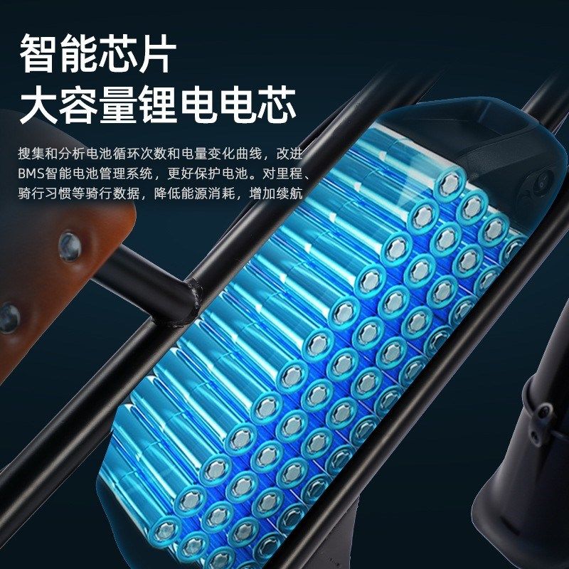 胖胎山地越野电动自行车沙滩车代步车锂电池助力变速自行车