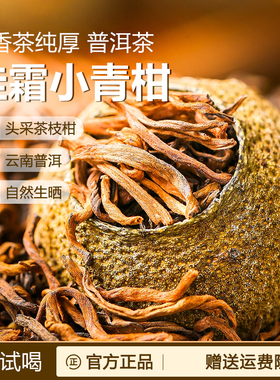挂霜新货小青柑罐装柑皮普洱茶熟茶会小青桔新茶叶小柑橘柑普茶