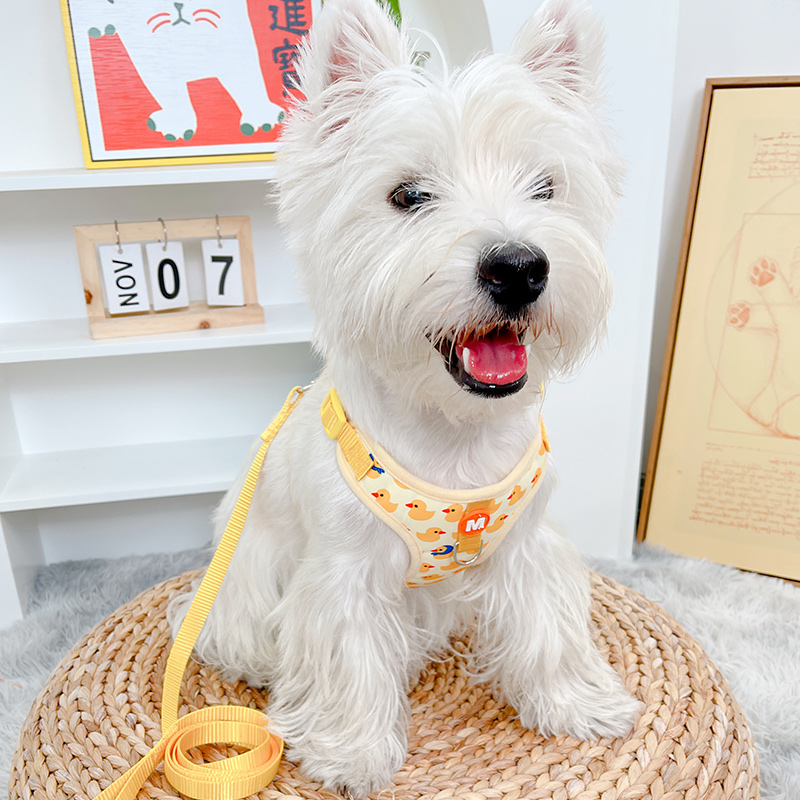 狗狗牵引绳猫咪狗绳遛猫绳背心式小狗狗牵狗绳胸背带泰迪宠物用品