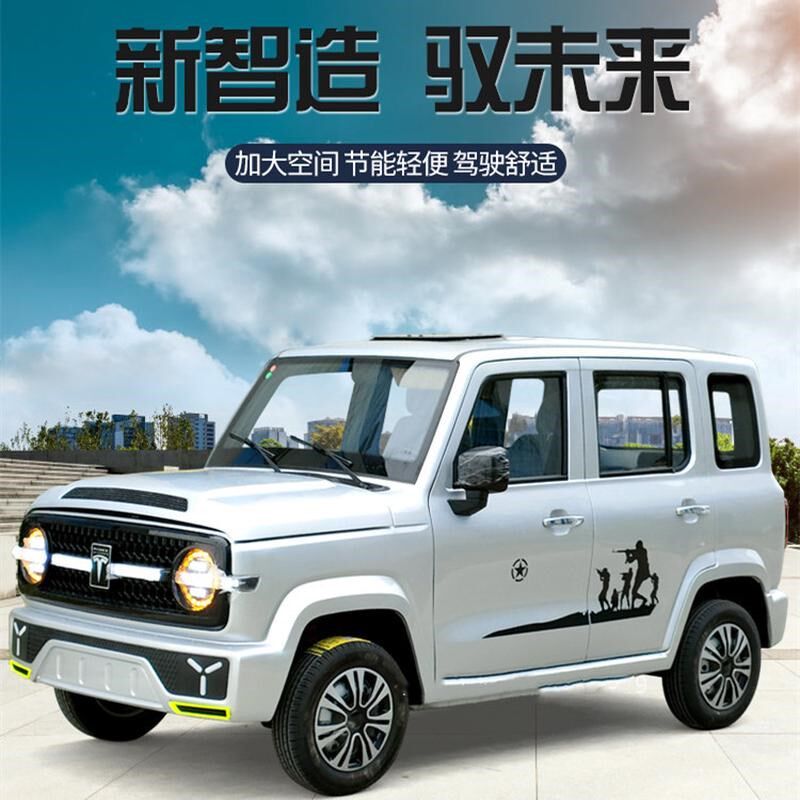 四轮电动汽车新能源老头乐新款家用女士成人代步小型油电两用轿车