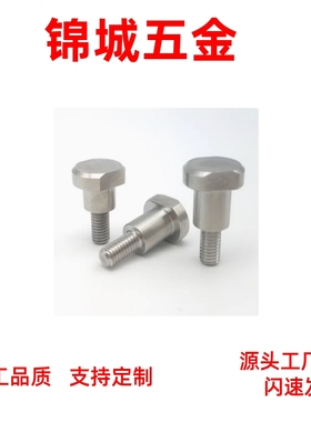 支点用台阶螺丝两平面 不锈钢支点用台阶螺丝FCBDW/CBDW4/5/6直销