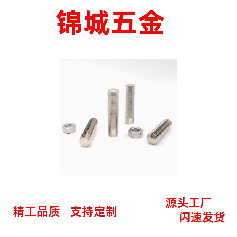 调整螺丝组件ANBNS8/10  内六角孔型PAS20 粗牙304不锈钢