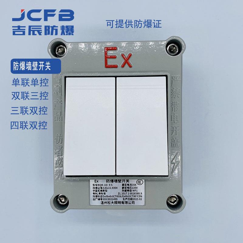 国标工业EX防爆照明开关220v10A一二三联双控墙壁开关BQM-10/II