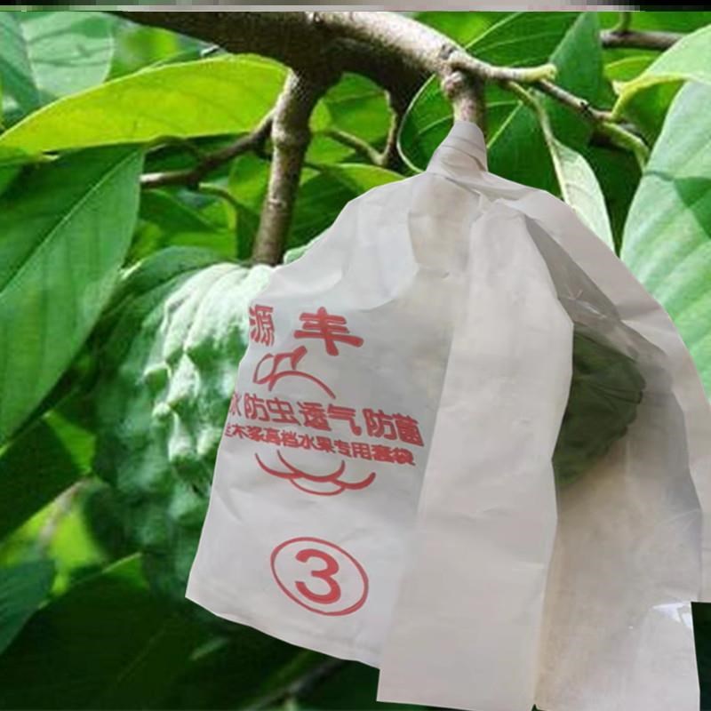 热销加厚释迦果套袋专用袋林檎番鬼荔枝果袋洋波罗番苞萝佛头水果