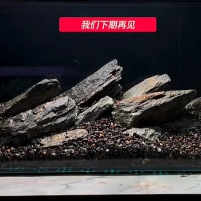 热销溪流片石乌龟晒背片岩造景台鱼缸原生缸爬宠假山组合石片晒台