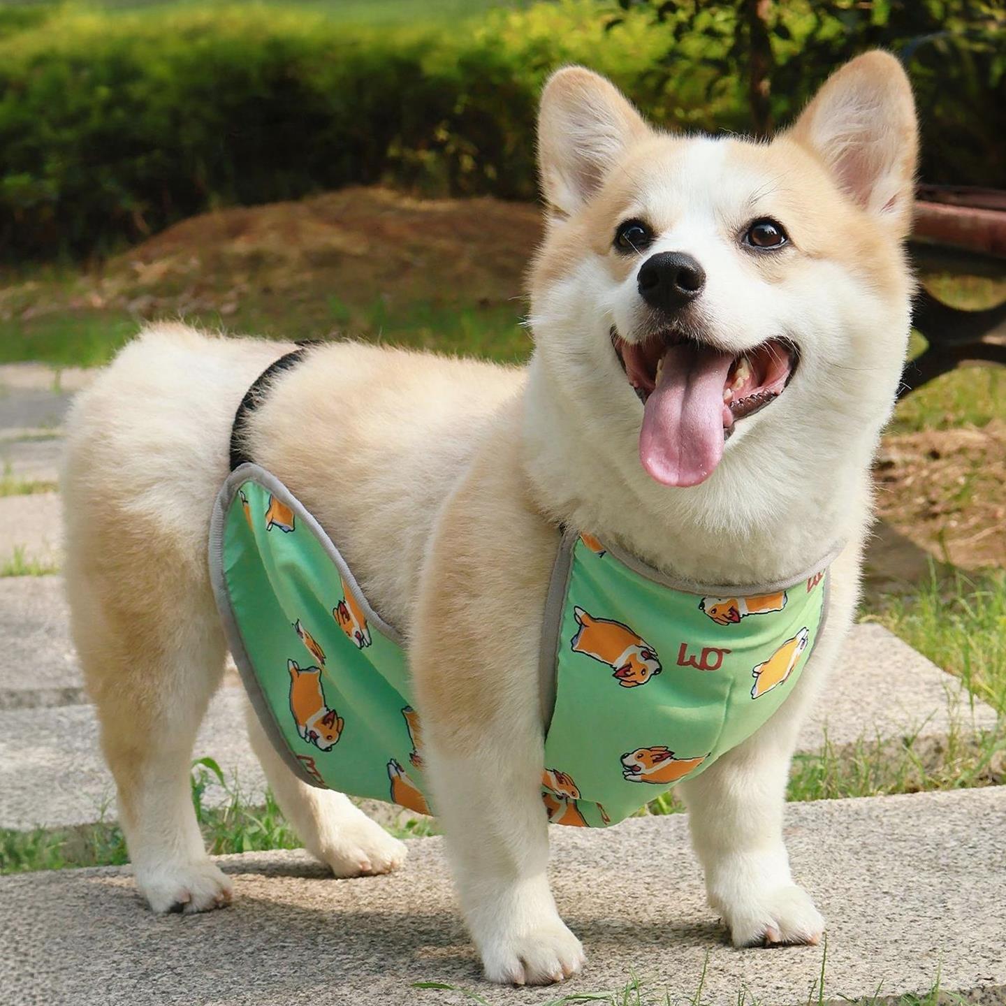 宠物狗狗肚兜防脏护肚子居家防着凉防水雨衣柯基柴犬法斗四季通用