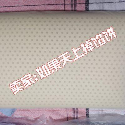专柜正品2022春夏新品 天丝枕头枕芯 玻尿酸蚕丝乳胶枕3.0