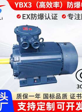 YBX3-225M-8/22KW交流三项电机高压防爆电机660V1100V电动机
