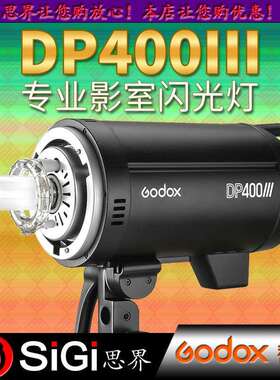 GODOX神牛DP400III影室闪光灯400w三代摄影灯影棚影楼拍照补光灯