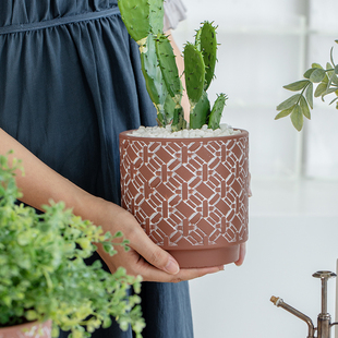 简亦水泥花盆北欧风格 简约创意盆栽绿植圆形大号石纹喷点有孔