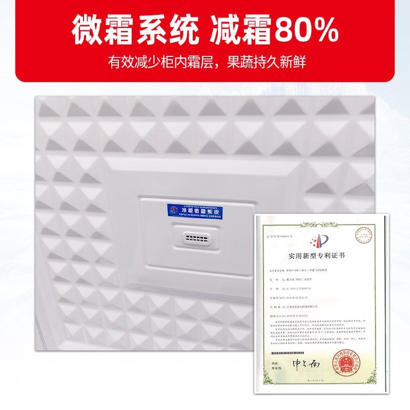 星星冰柜冷柜双温冷藏冷冻卧式商家用冰箱保鲜小型微霜雪柜305E
