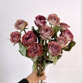 云南天然玫瑰干花真花花束卡布奇诺客厅家居桌面插花装 饰摆件送人