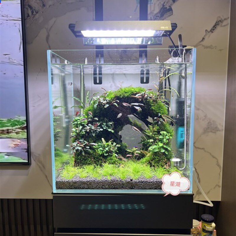穿越洞穴骨架鱼缸造景素材成品发货沉木拼接阴性水草易养水草设计