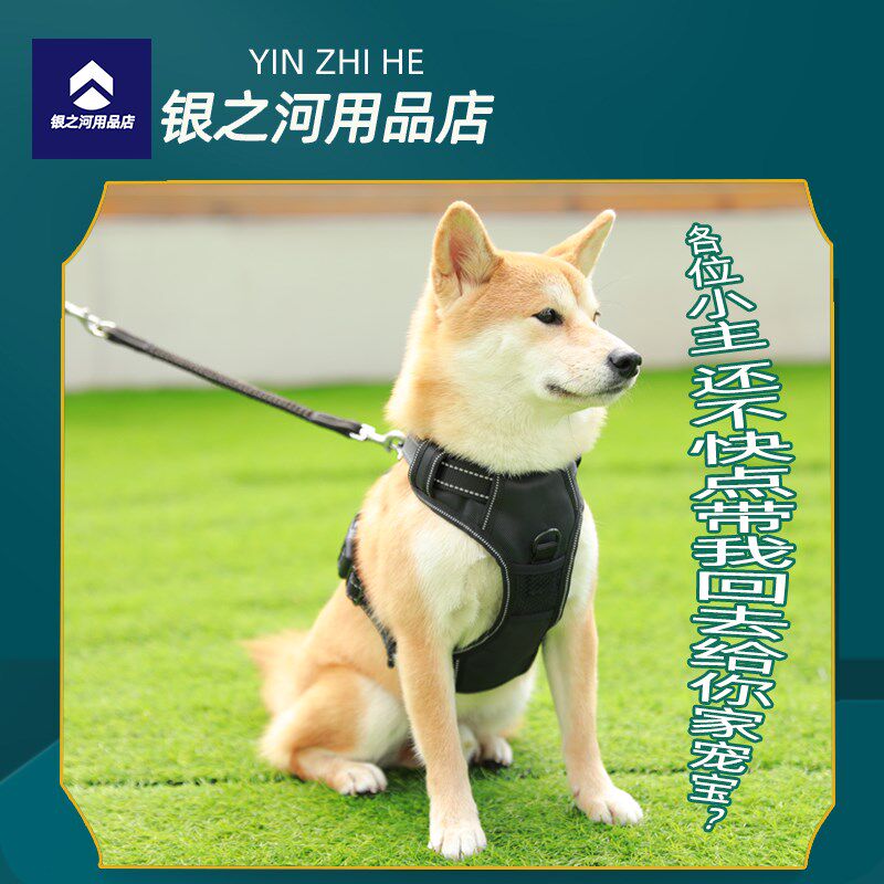 出口版狗牵引绳LED发光充电款背心式胸背带中型犬宠物夜光遛狗绳