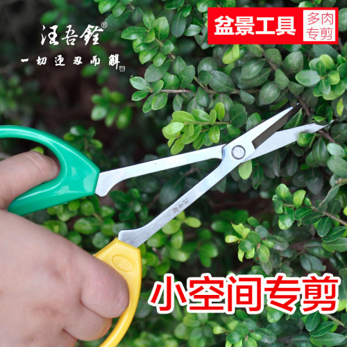 汪吾铨多肉修枝剪刀长柄园林园艺修花剪小枝叶芽剪子盆栽盆景工具